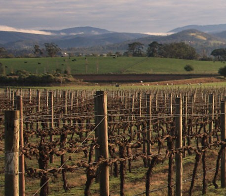 团购更加优惠的手机号测压2025